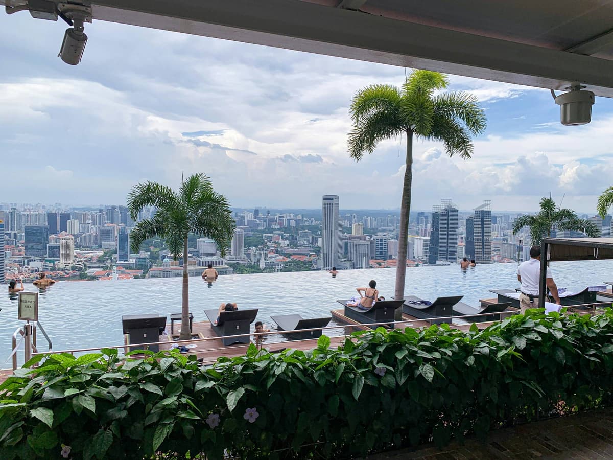 A rooftop infinity pool with palm trees overlooking Singapore's skyline